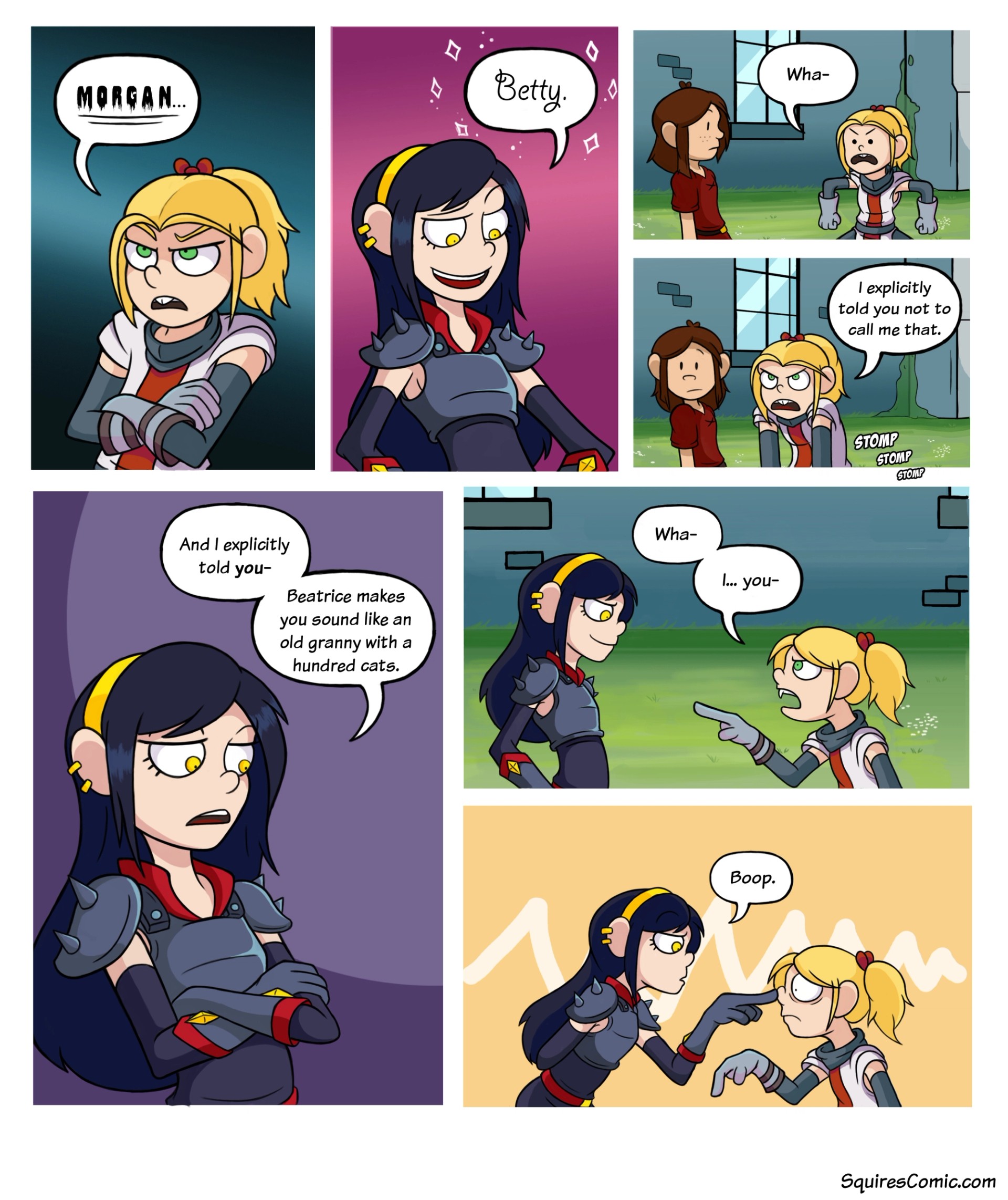 Page 1.11 - Chapter 1 Page 11