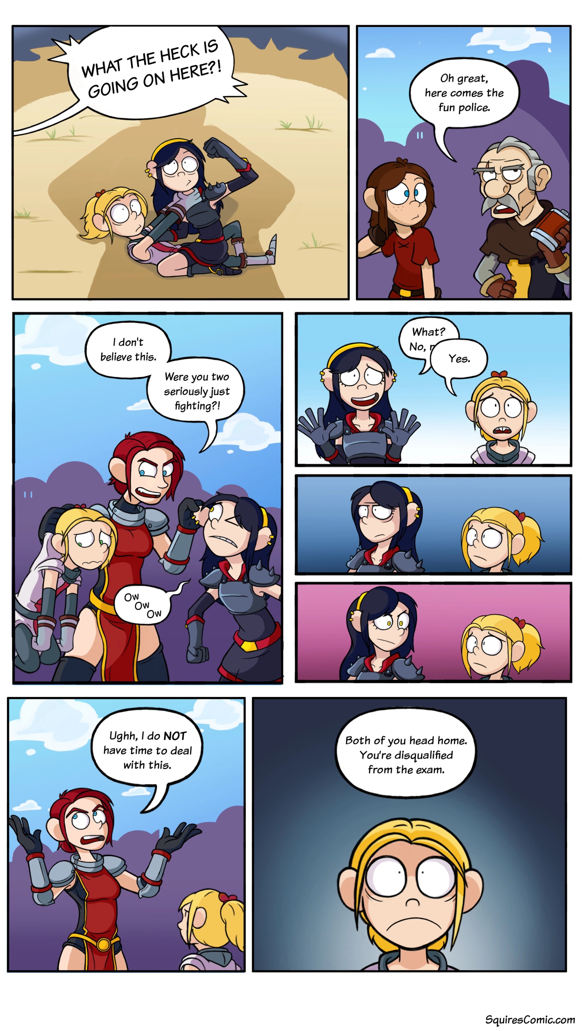 Page 1.17 - Chapter 1 Page 17