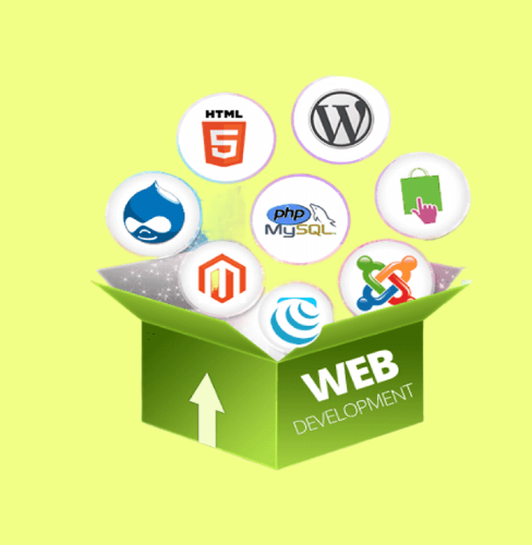 Web Designer