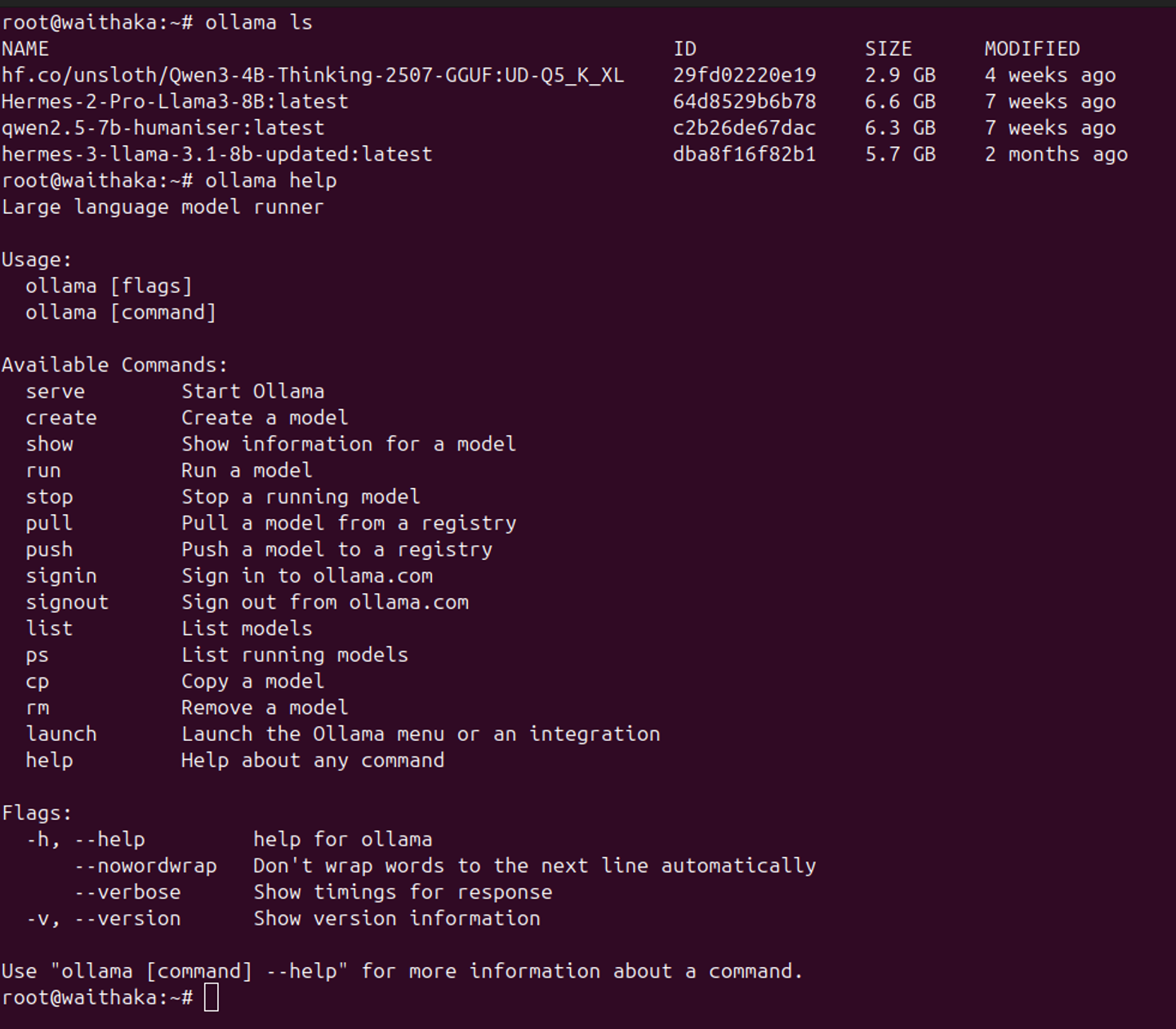 Ollama running on Ubuntu 24.04