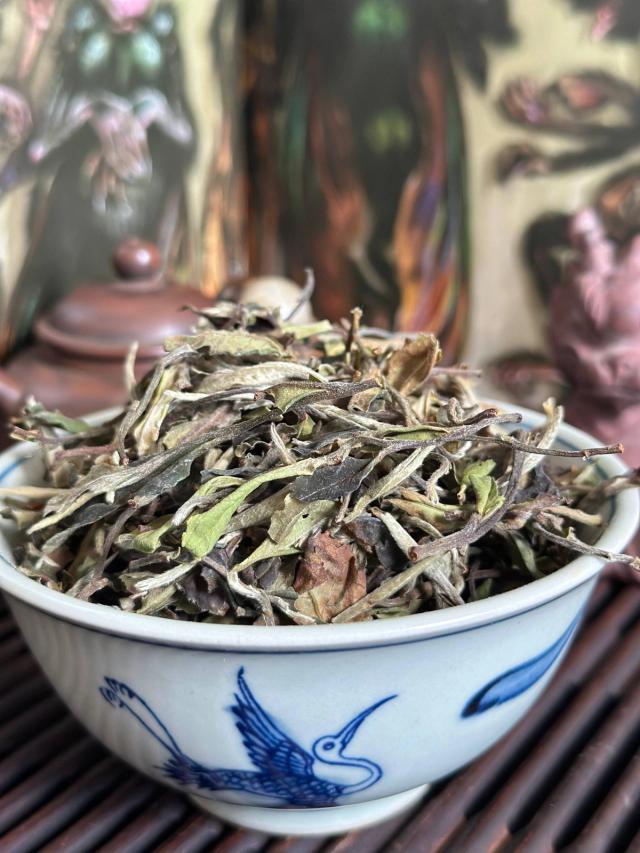 Bai Mu Dan 2026