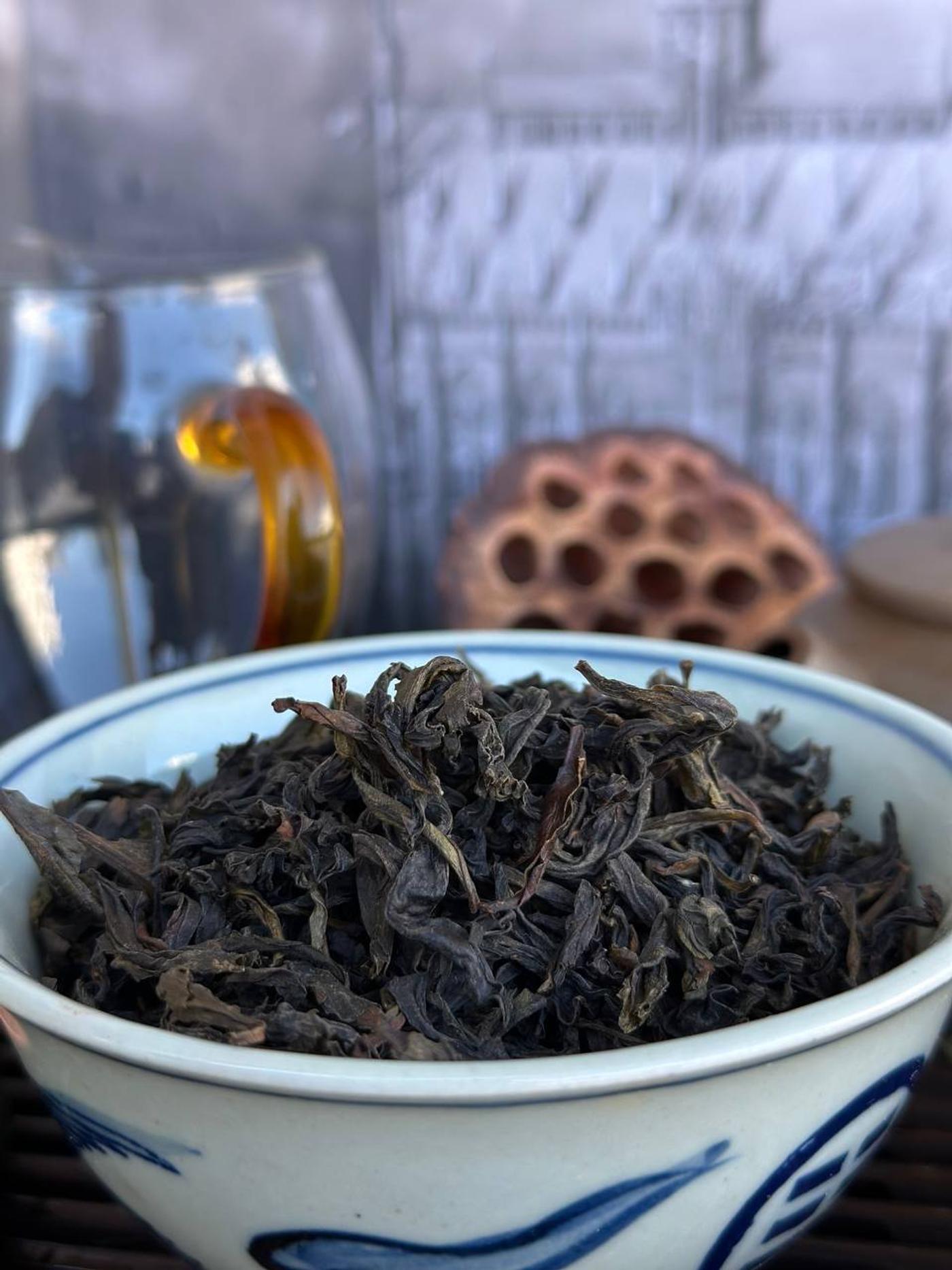 Shui Xian 'Mi Xiang' 2025