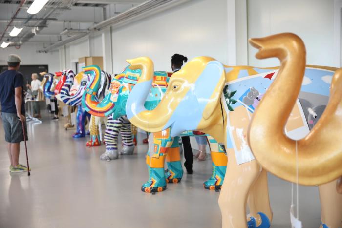 Havens Hospices Art Trail Film