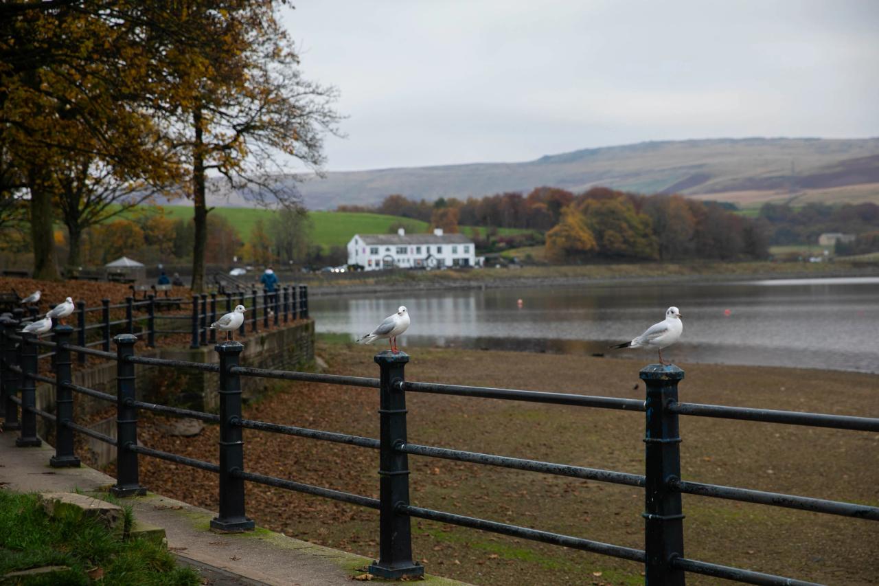 Excel Fostering Therapeutic Support Film 