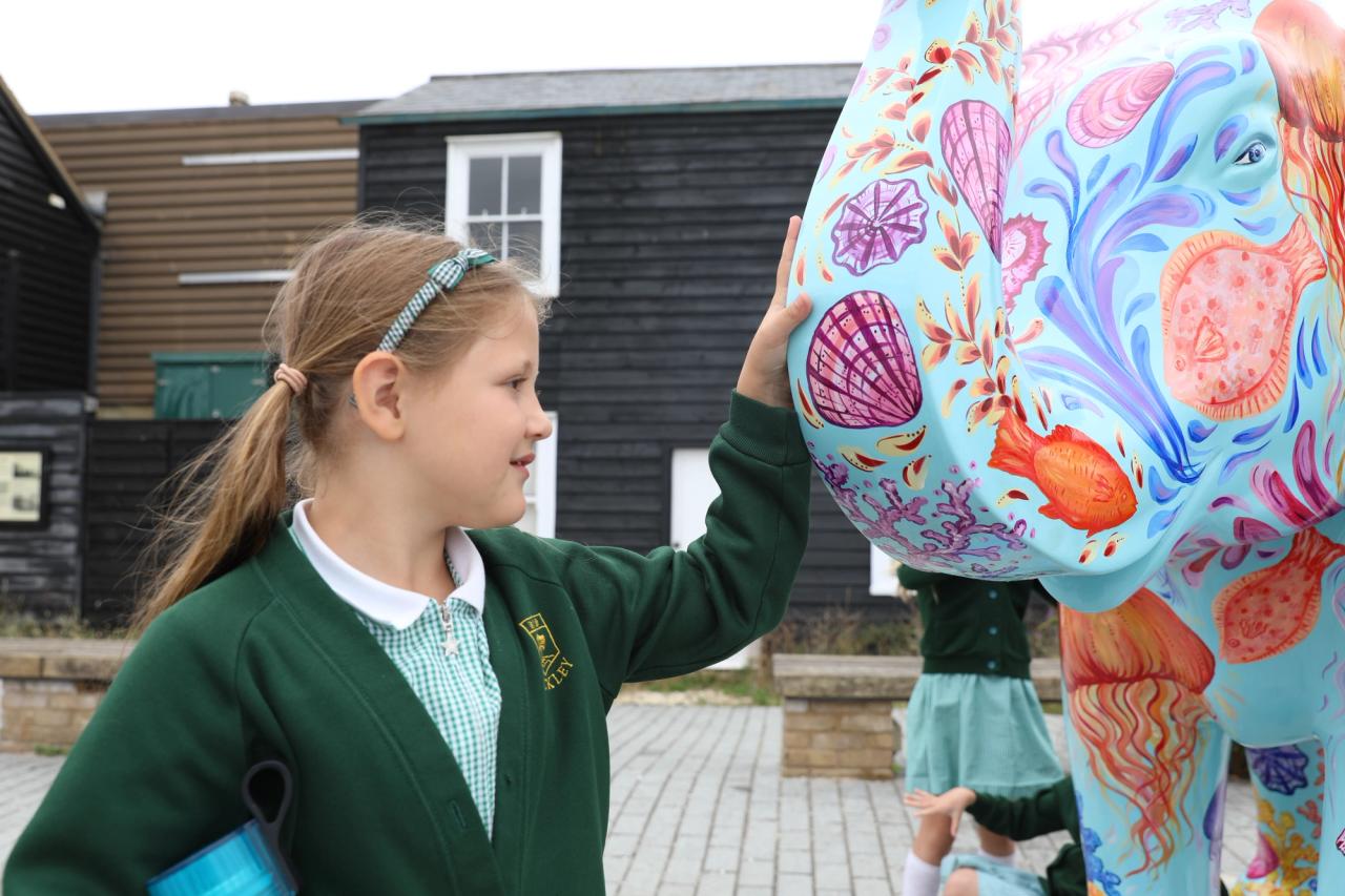 Havens Hospices Art Trail Film