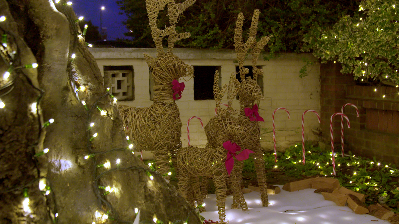 Make a Wish Foundation Film