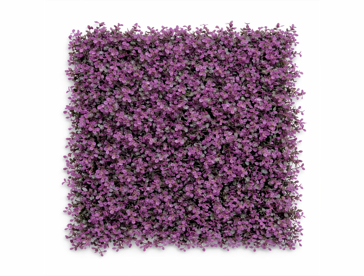 Arrayan Morado