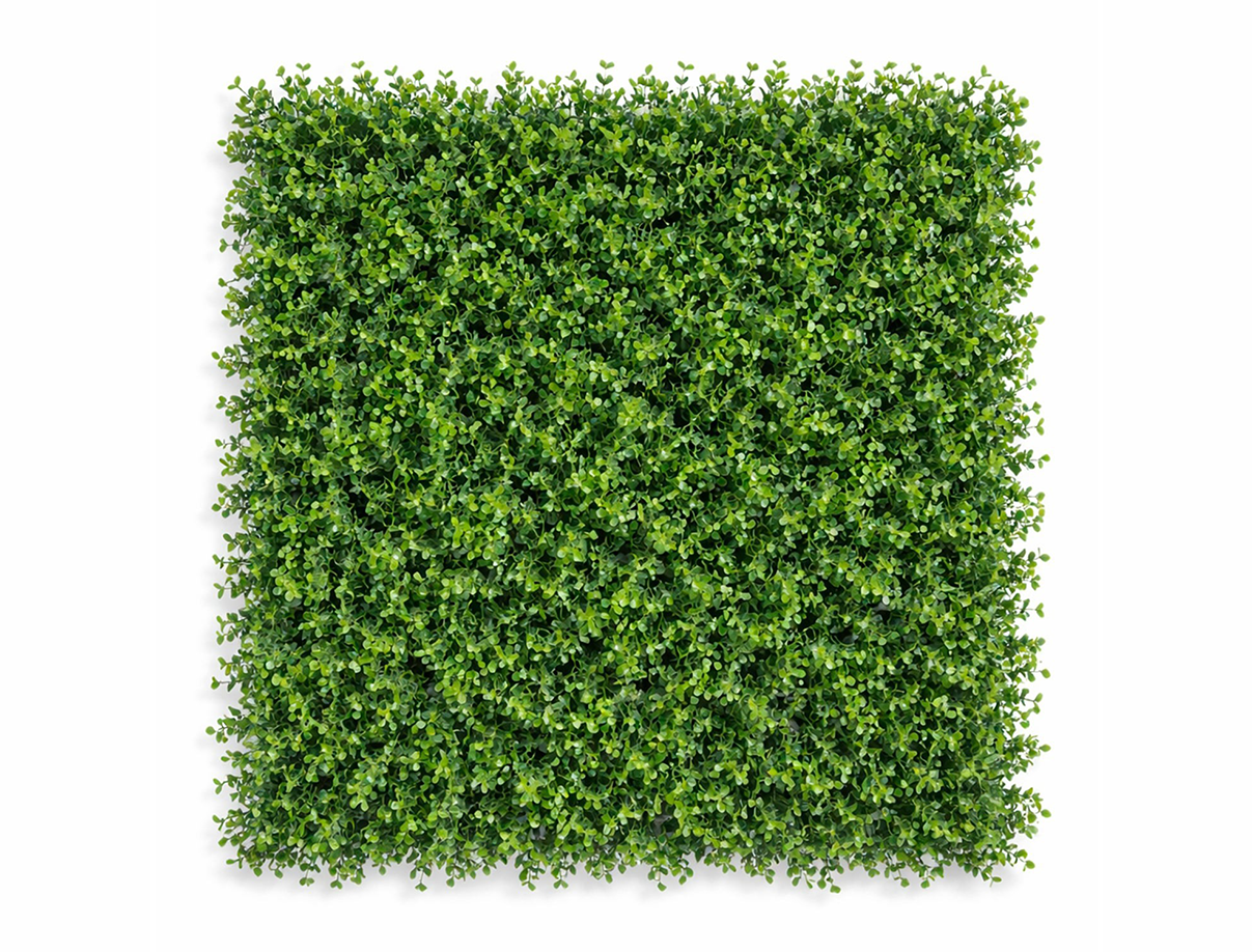 Arrayan Verde