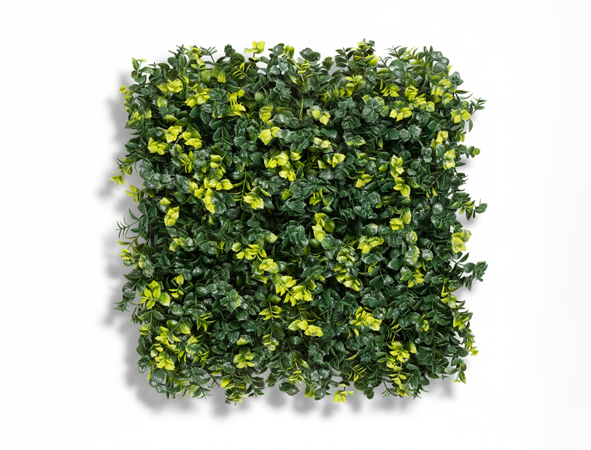 Menta