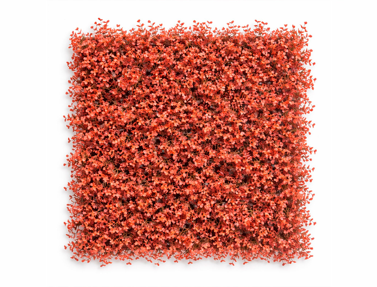 Arrayan Rojo