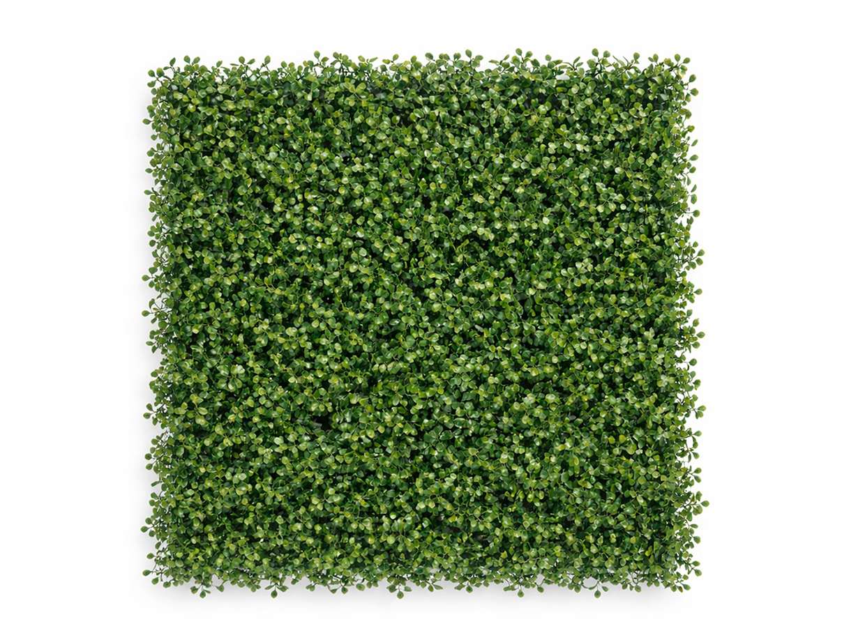 Arrayan Natural