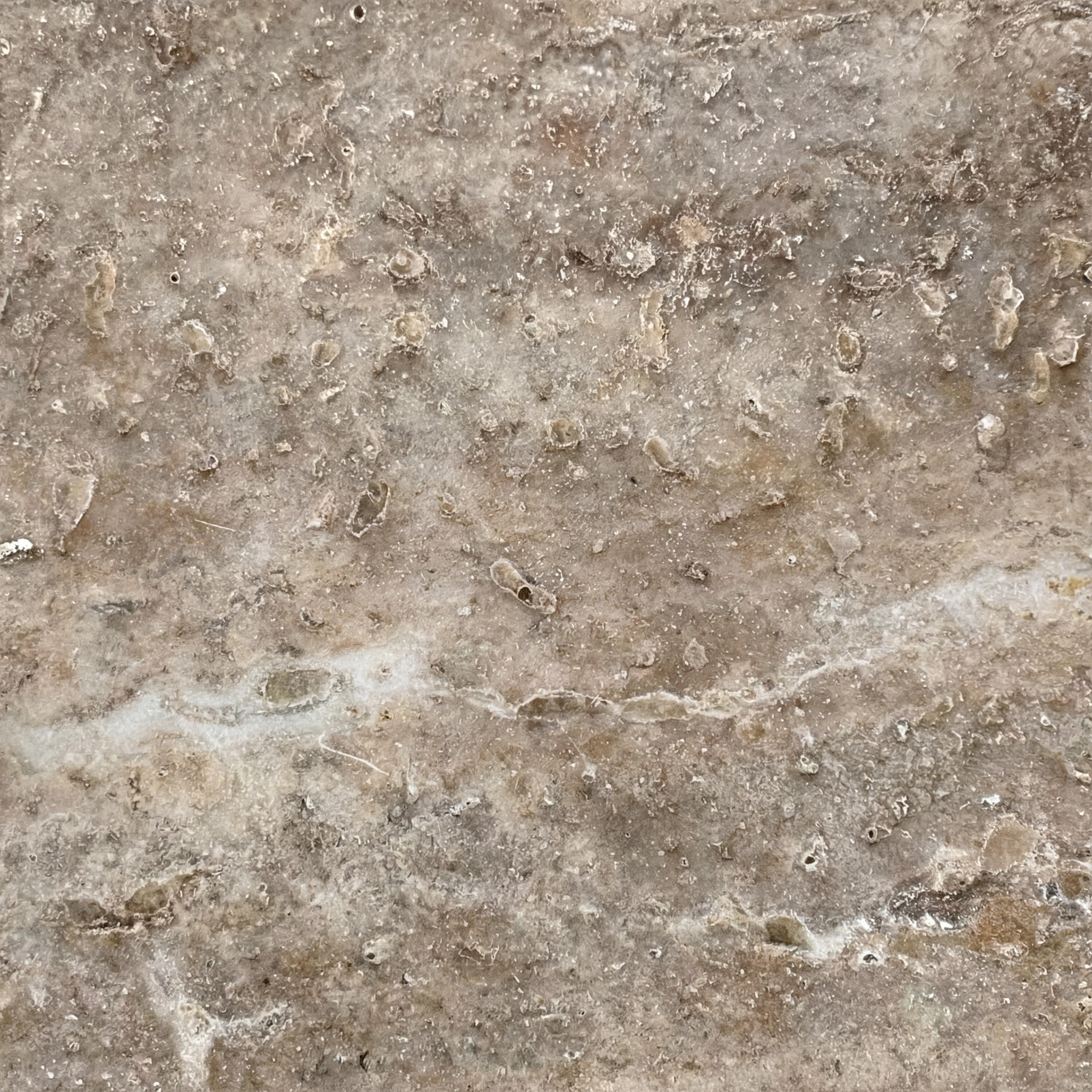 Travertine Dark Silver Honed