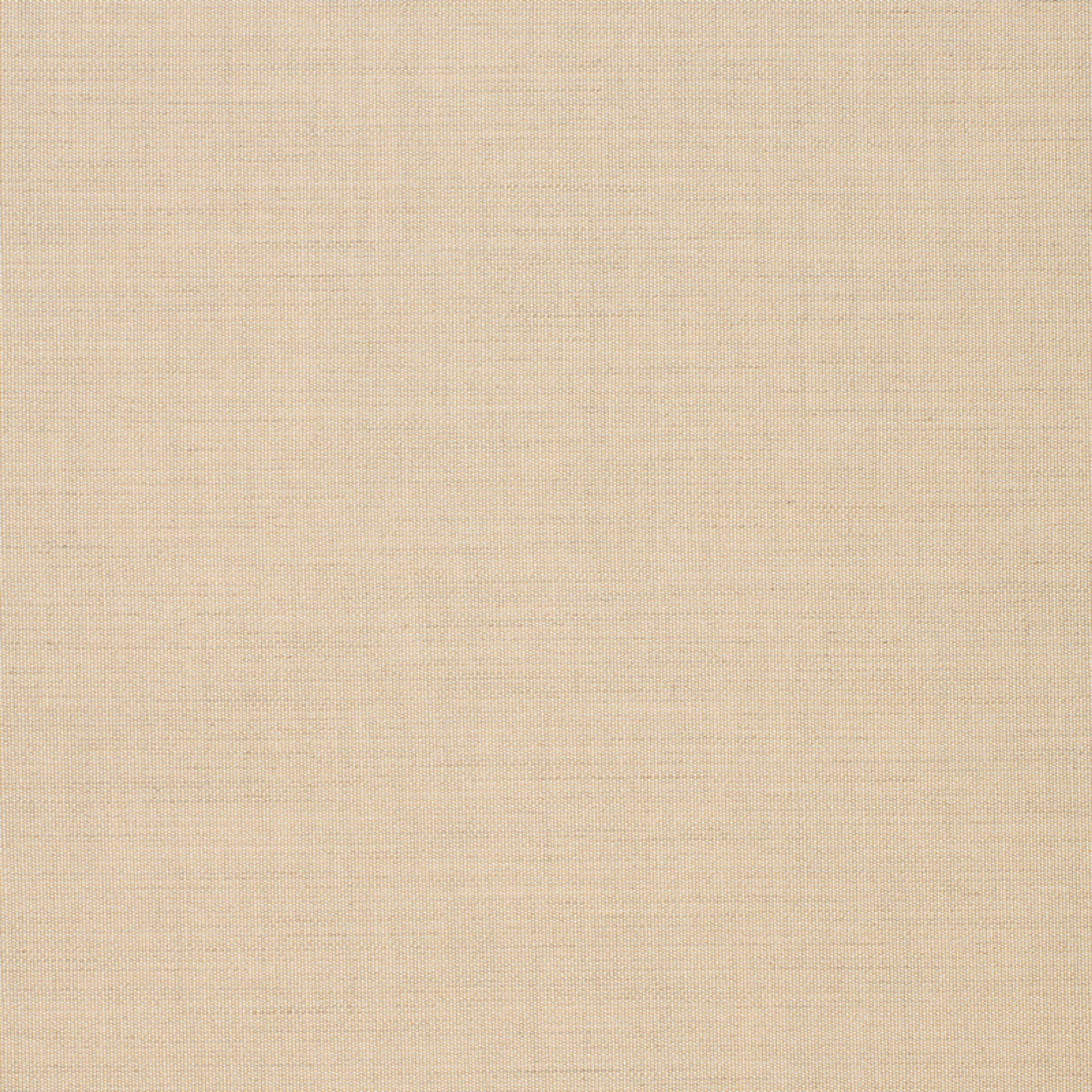Parchment