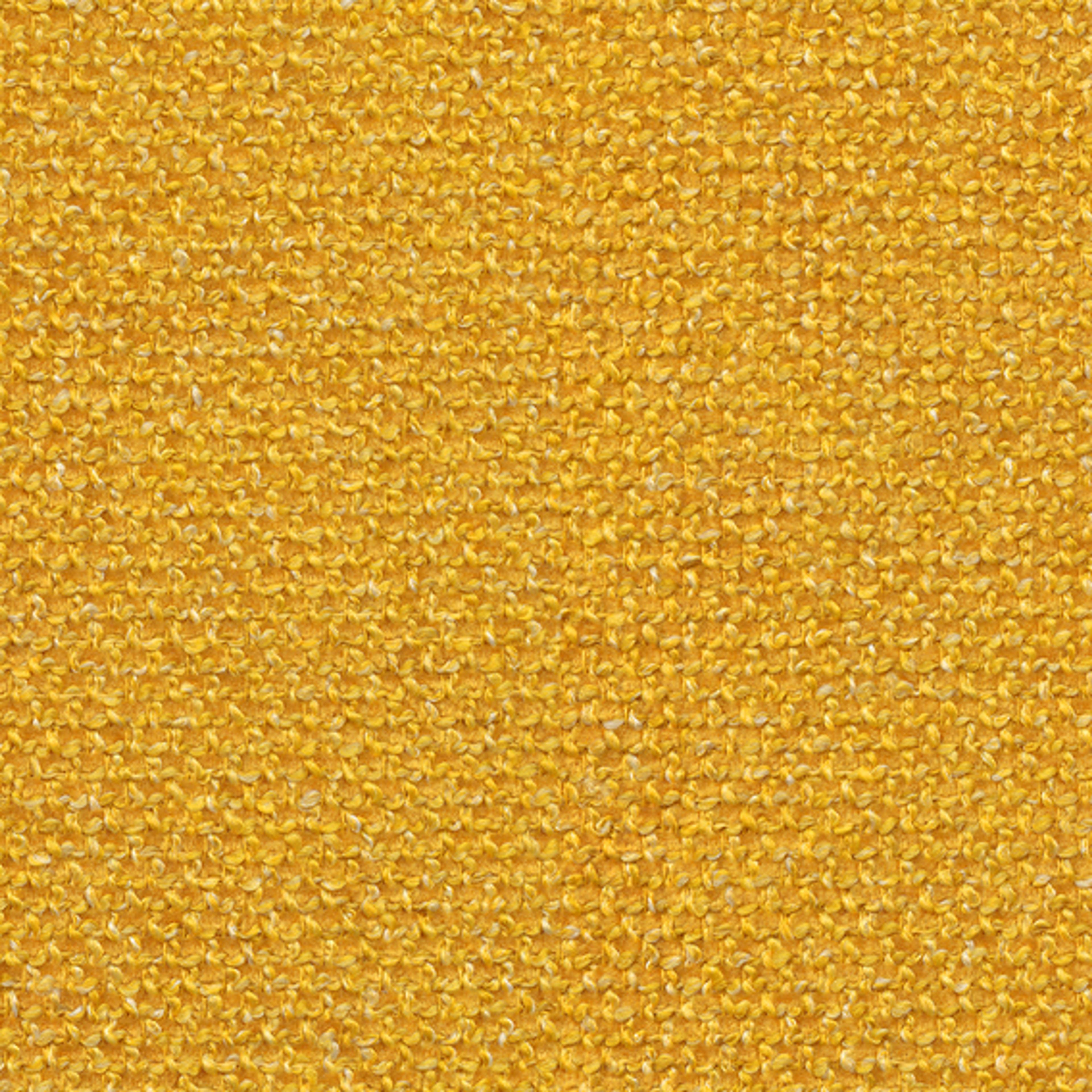 Canary