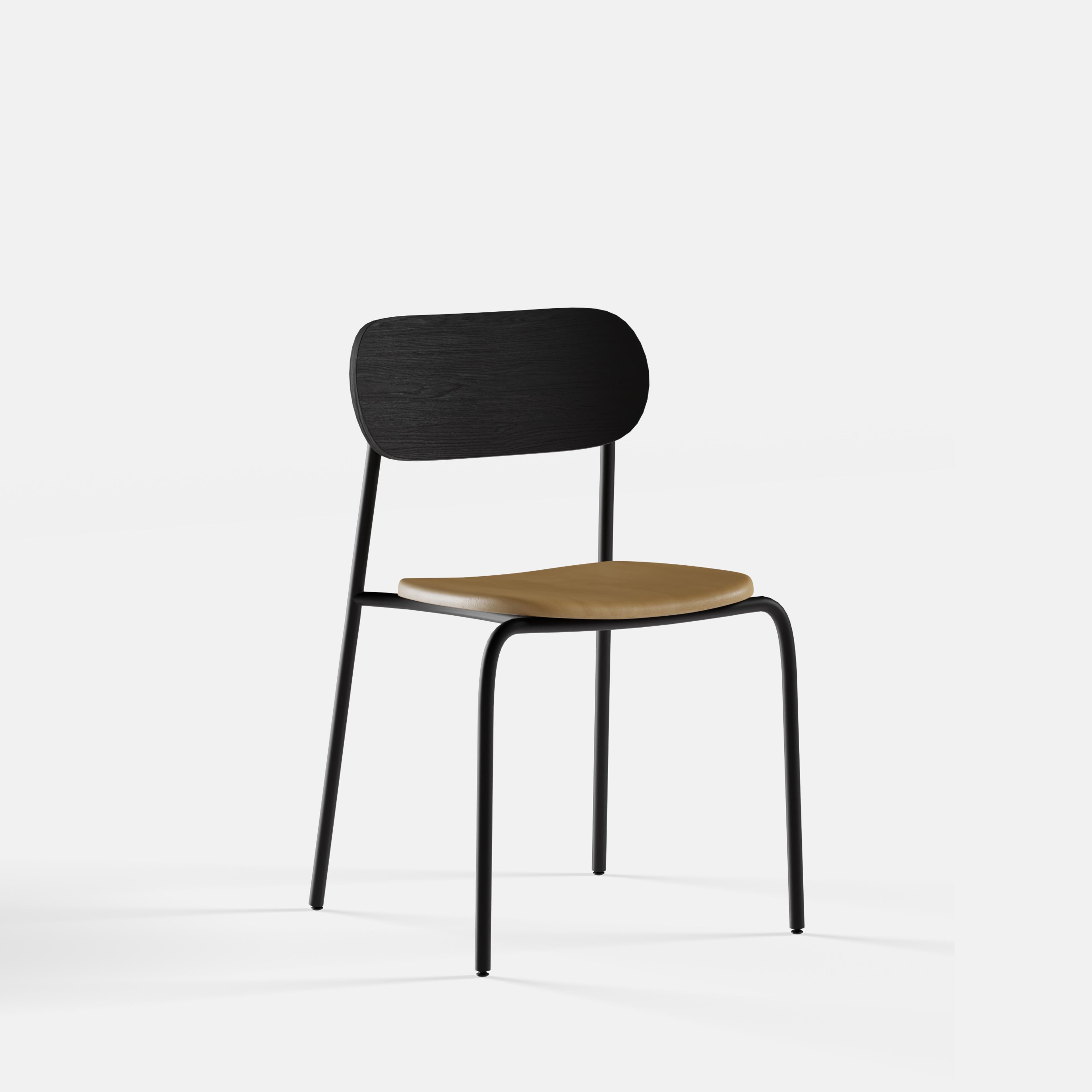 Frame Side Chair (2 Piece Seat) - Variation 13