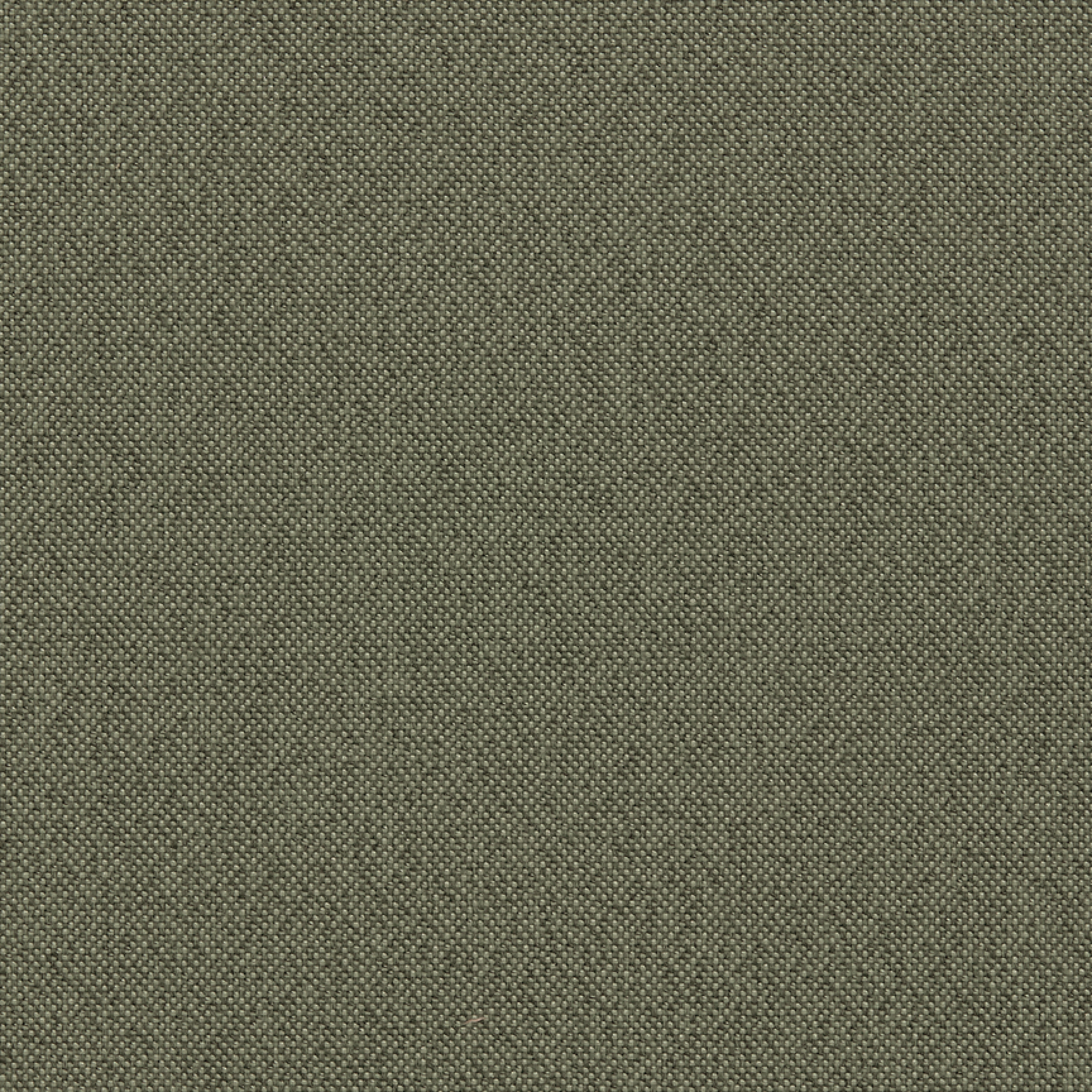 Moss