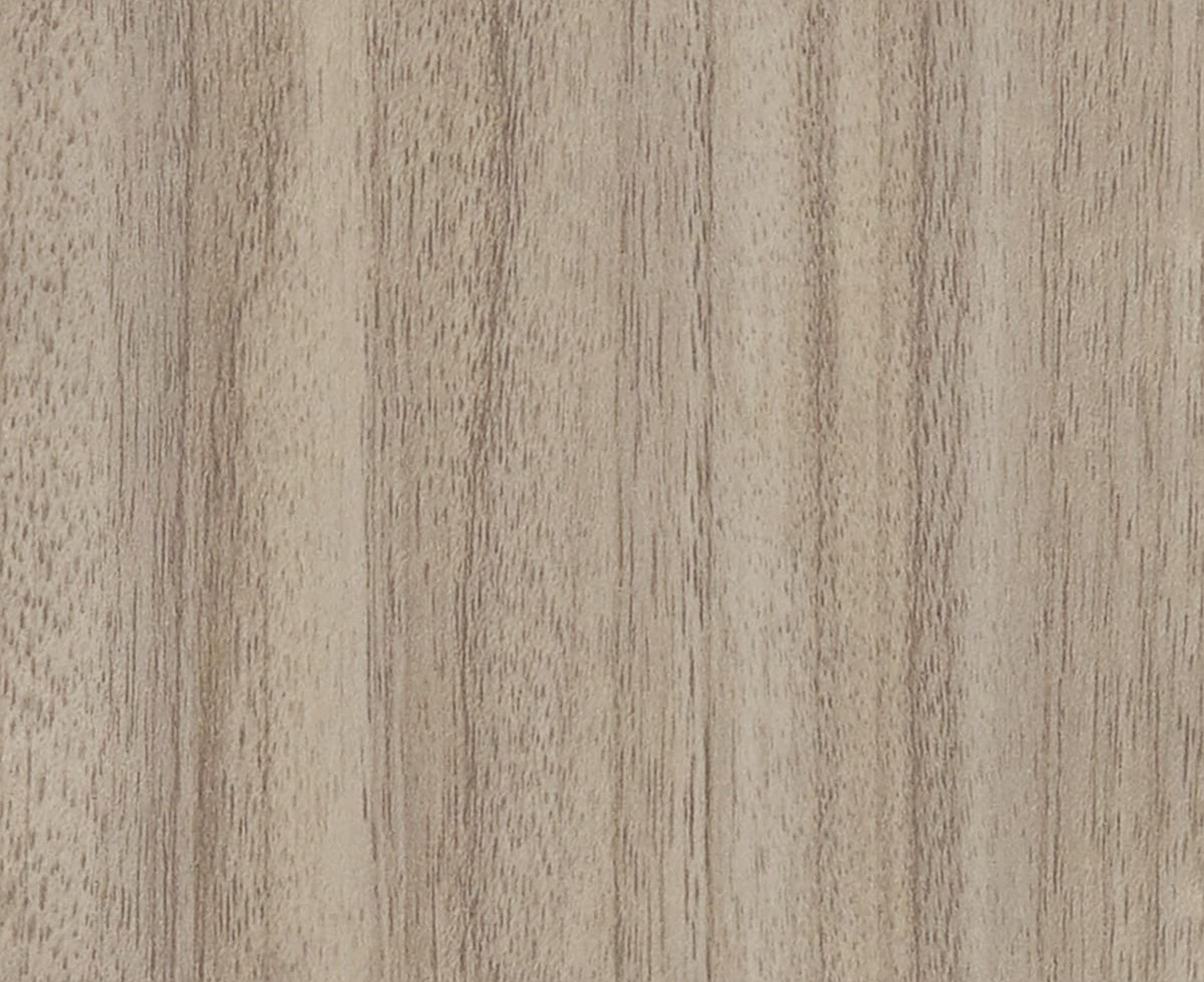 Avignon Walnut | Chalk
