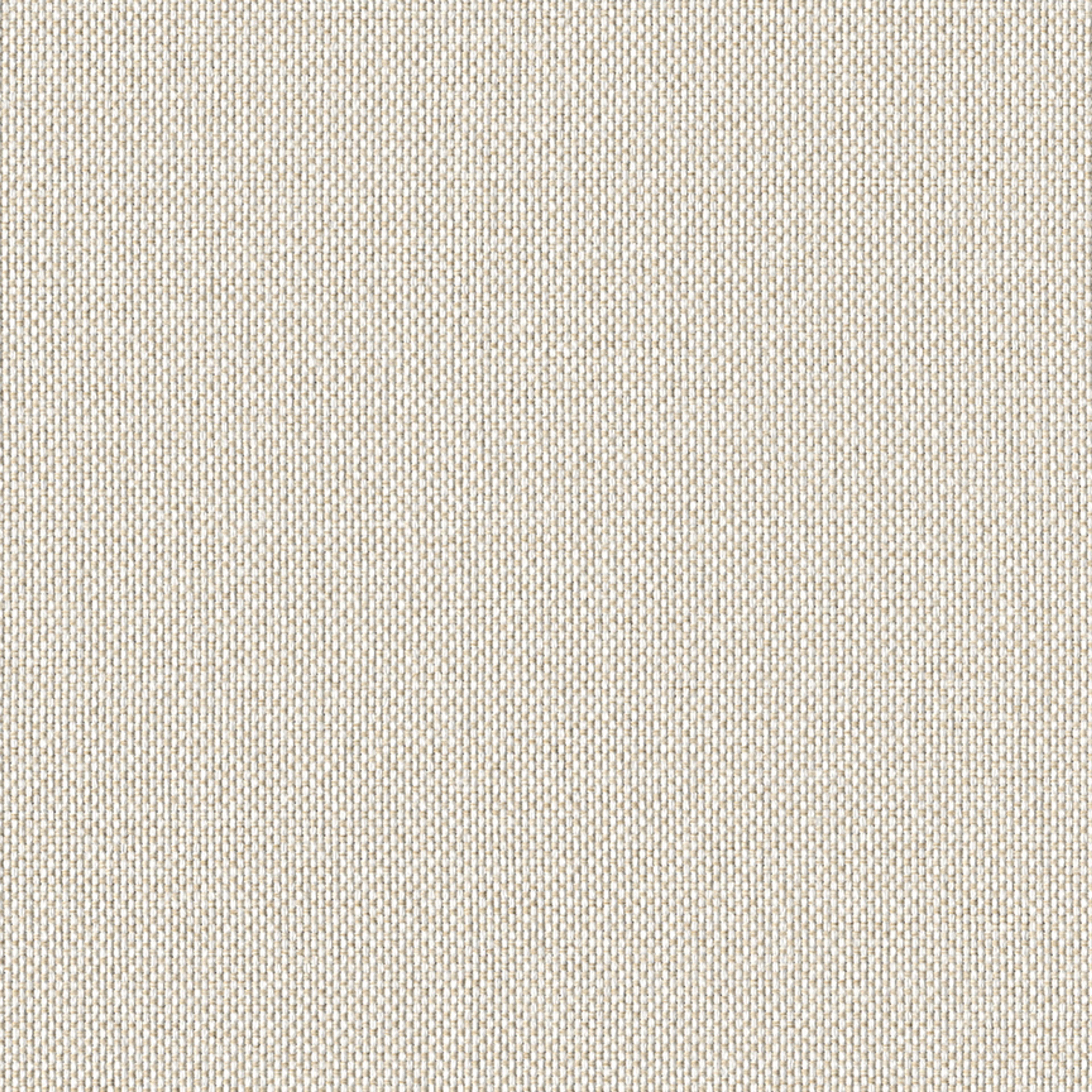 Eggshell