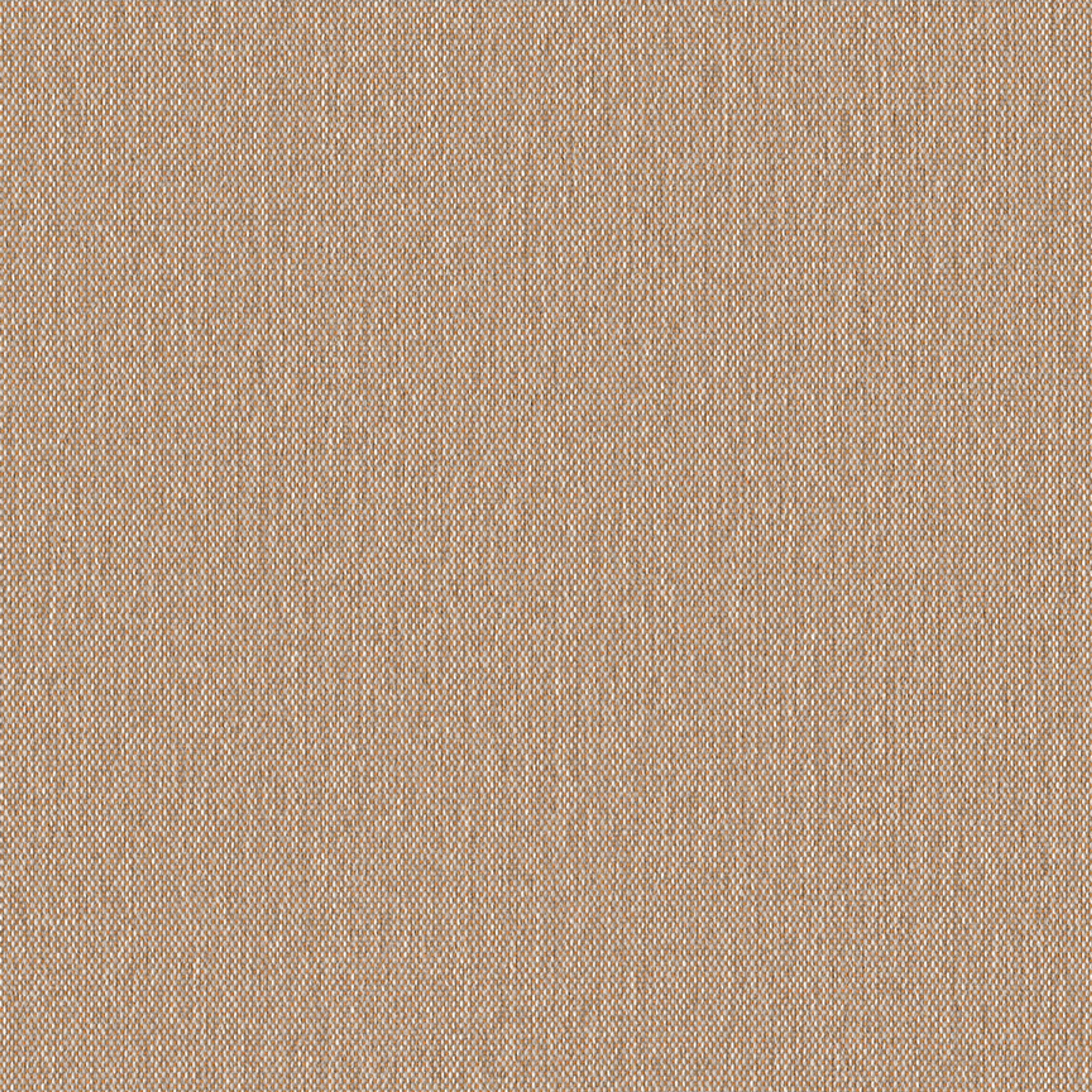 Ambrosia