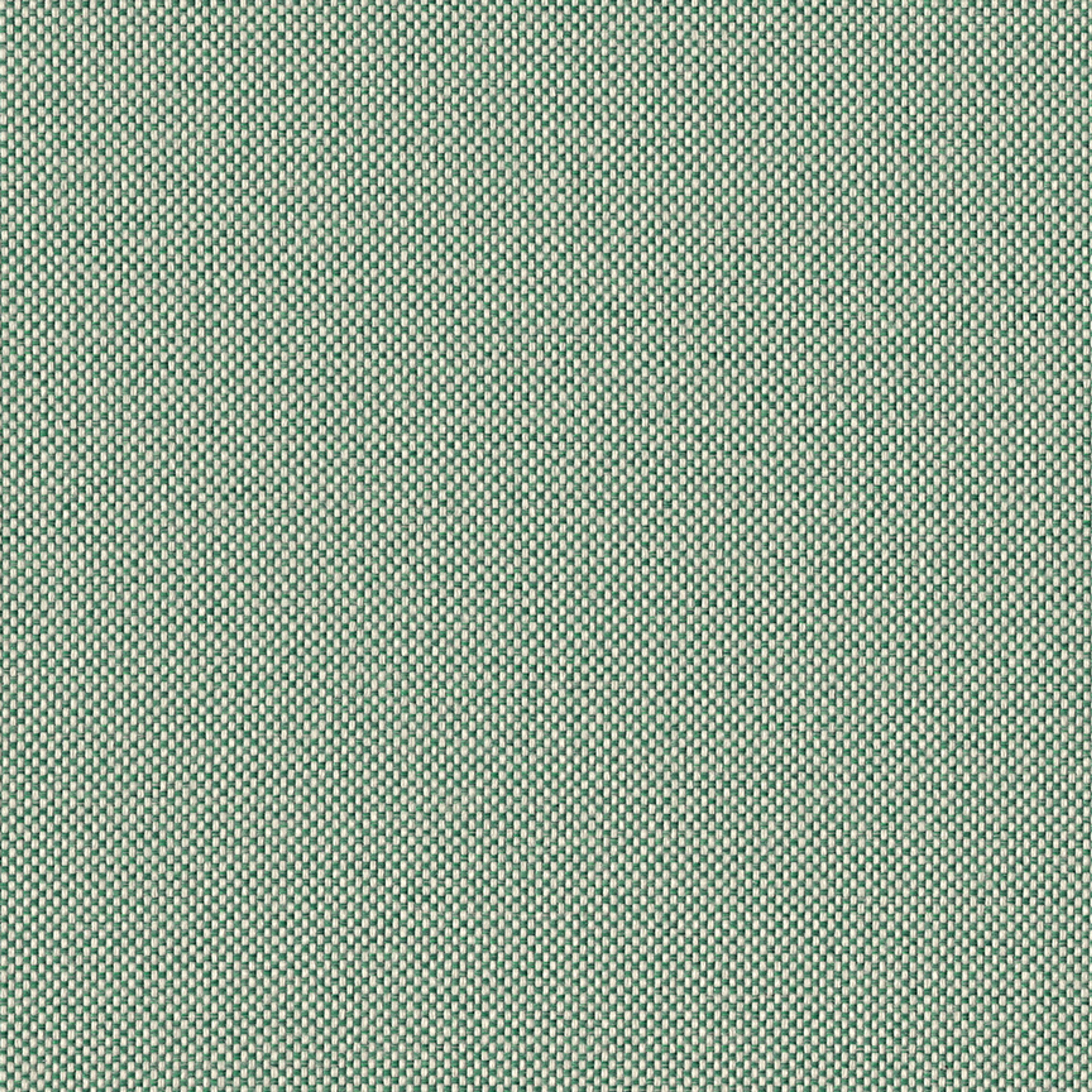 Yew