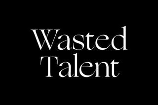 Wasted_Talent_Various_01.jpg