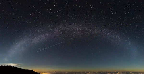 Maui Nui Wild Harvested Venison Maui Nui Wild Harvested Venison