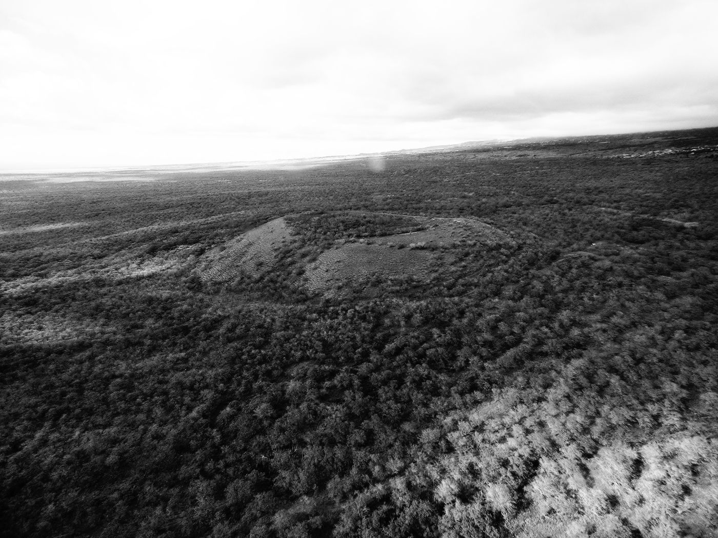 Maui Nui Wild Harvested Venison