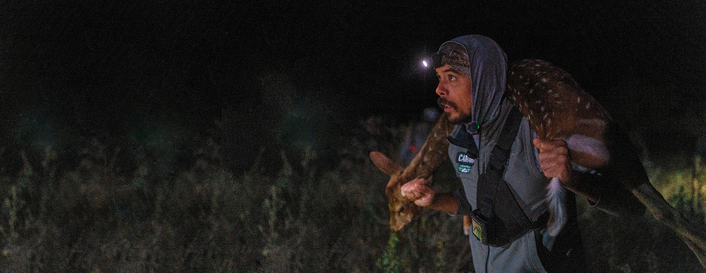 Maui Nui Wild Harvested Venison