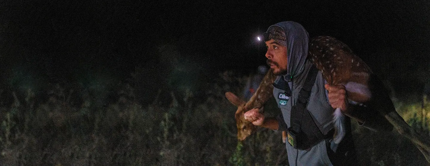 Maui Nui Wild Harvested Venison Maui Nui Wild Harvested Venison