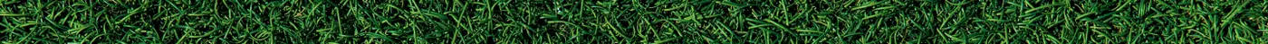 Maui Nui Wild Harvested Venison Maui Nui Wild Harvested Venison