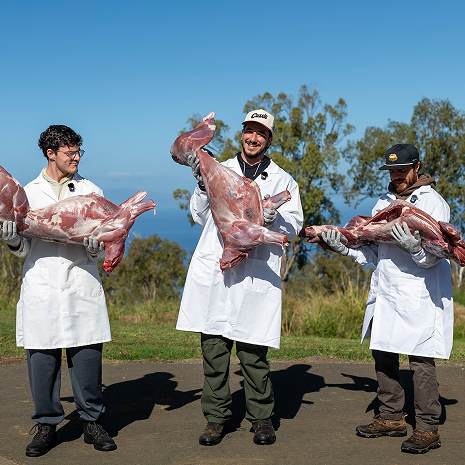 Maui Nui Wild Harvested Venison