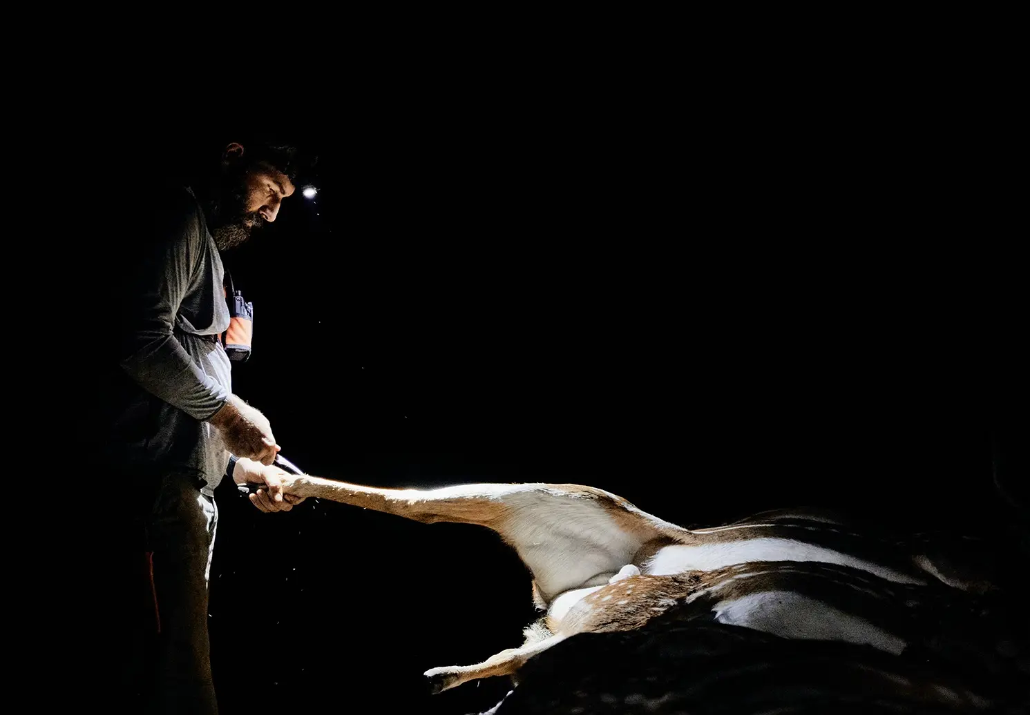 Maui Nui Wild Harvested Venison Maui Nui Wild Harvested Venison