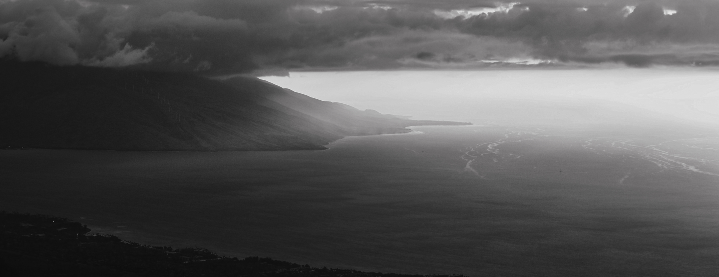 Maui Nui Wild Harvested Venison