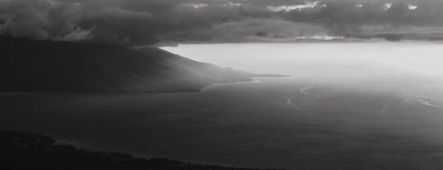 Maui Nui Wild Harvested Venison Maui Nui Wild Harvested Venison