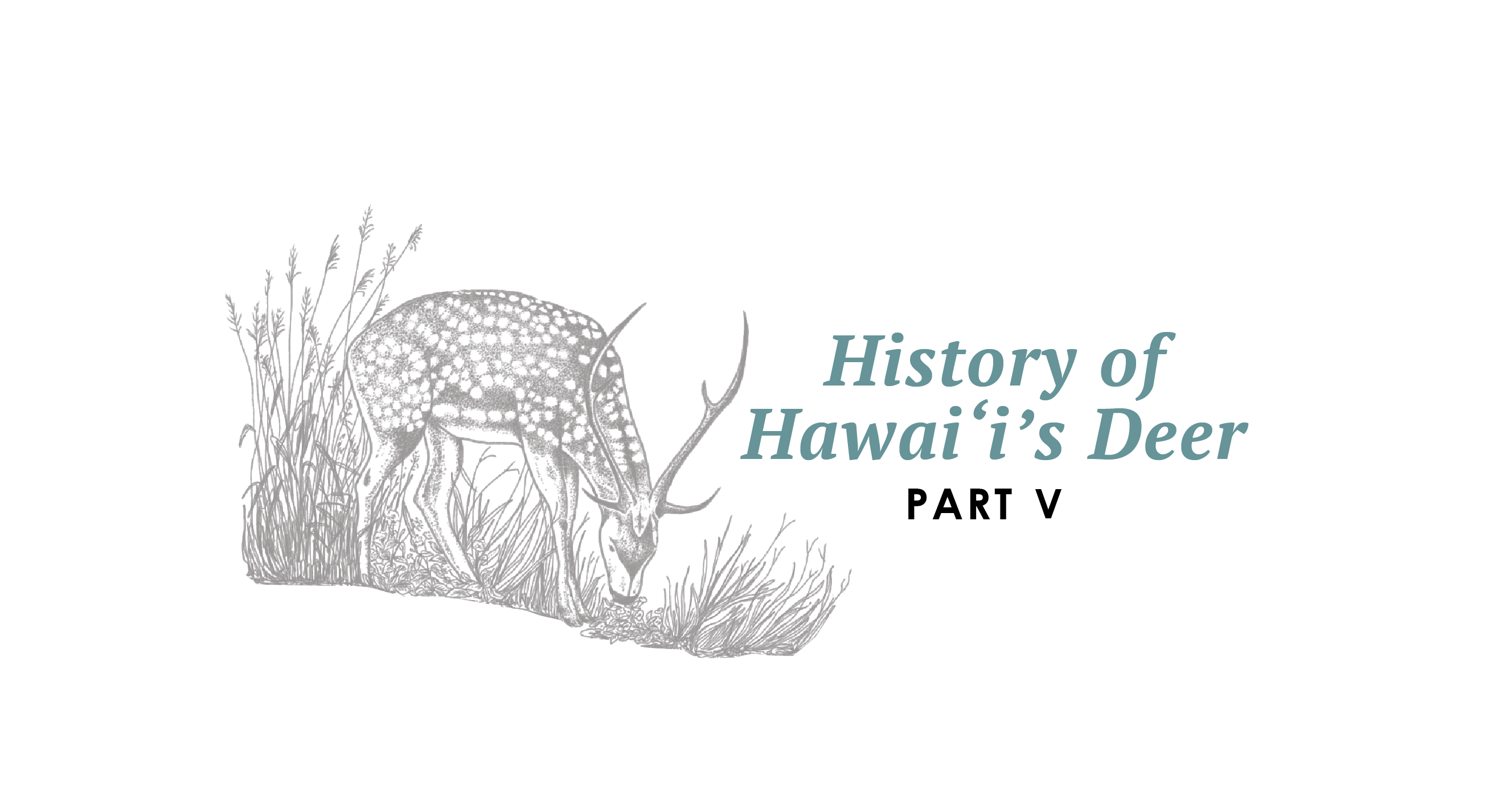 Maui Nui Wild Harvested Venison