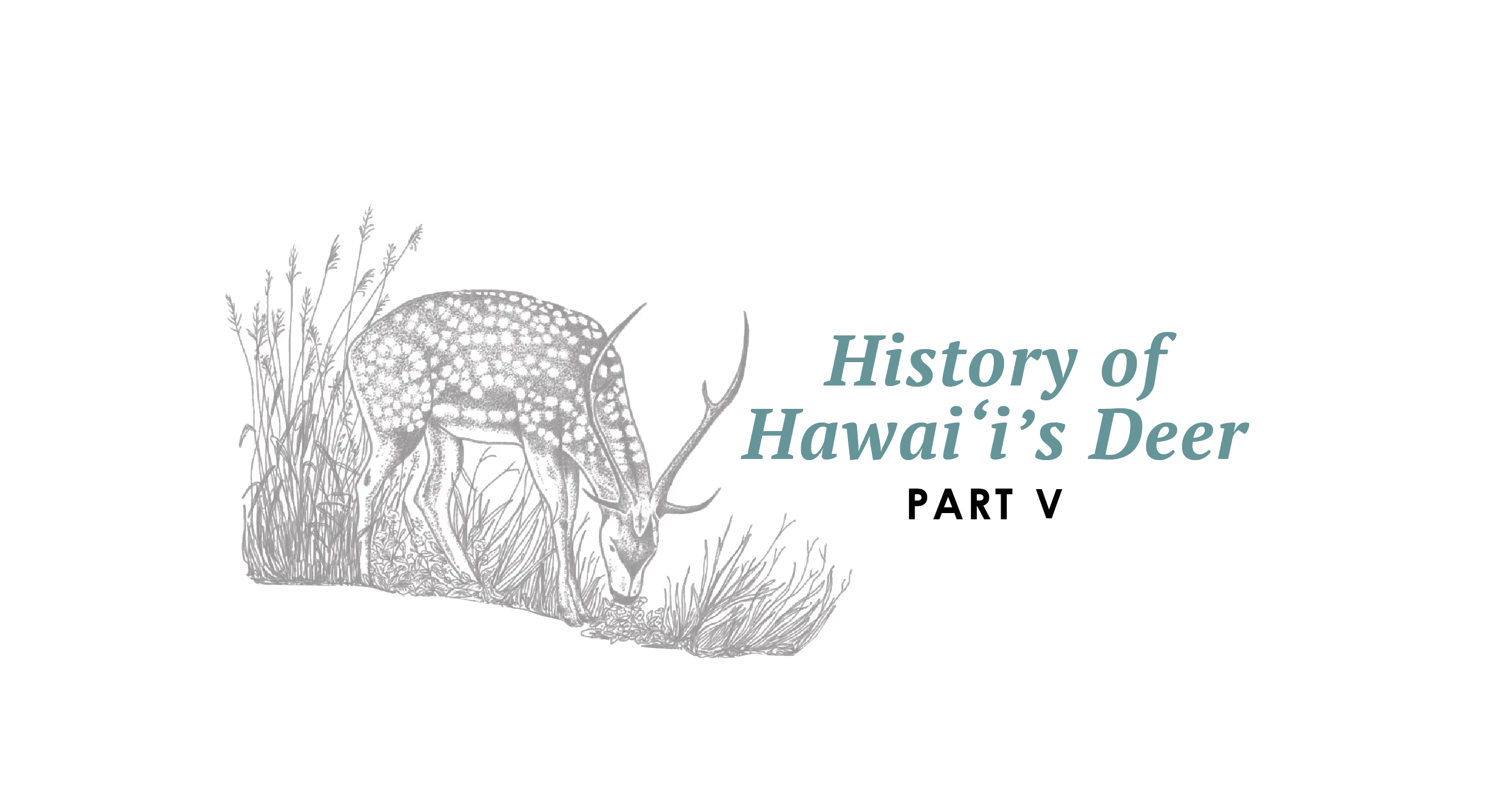 Maui Nui Wild Harvested Venison Maui Nui Wild Harvested Venison