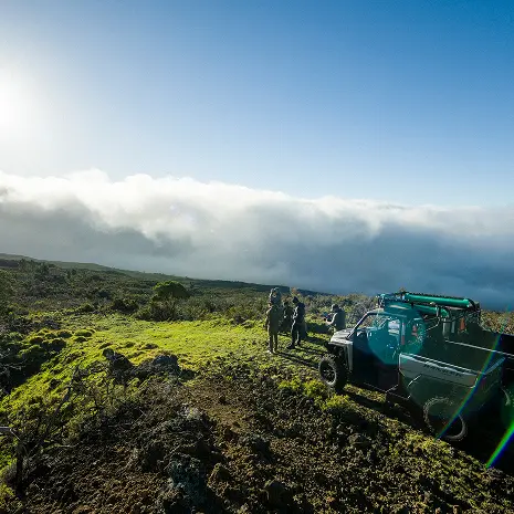 Maui Nui Wild Harvested Venison Maui Nui Wild Harvested Venison