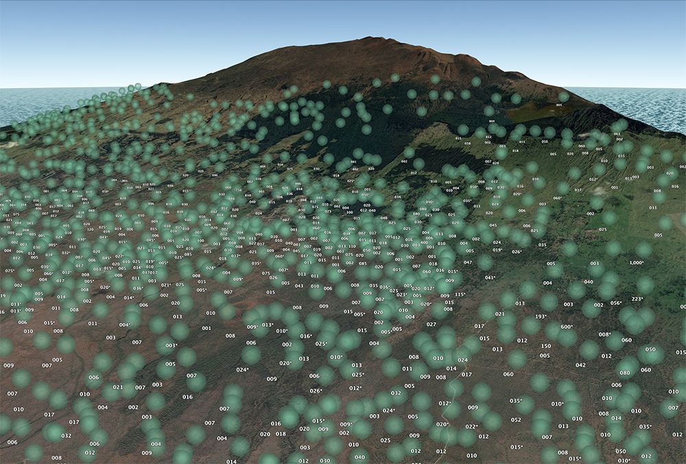 Maui Nui Wild Harvested Venison