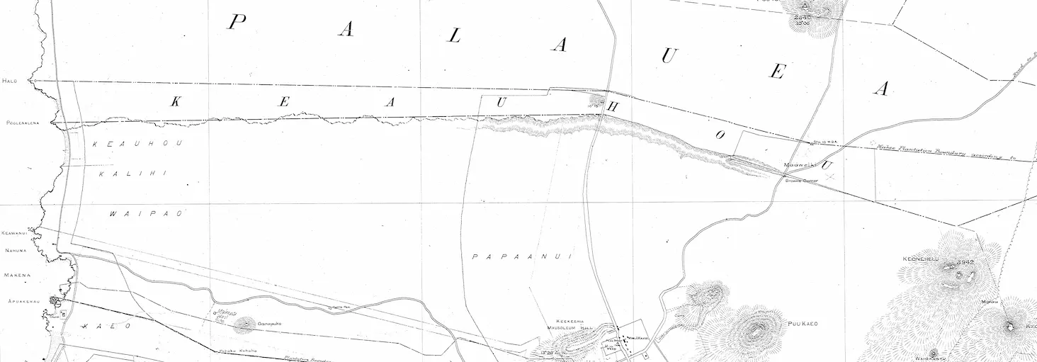 Maui Nui Wild Harvested Venison Maui Nui Wild Harvested Venison