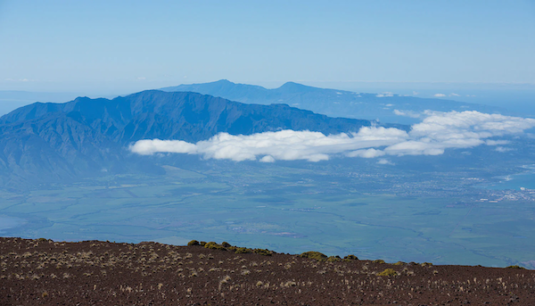 Maui Nui Wild Harvested Venison
