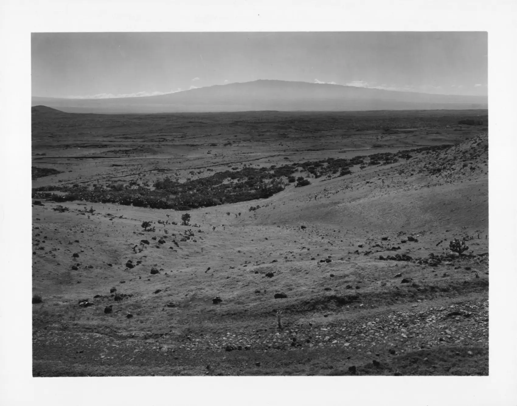 Maui Nui Wild Harvested Venison Maui Nui Wild Harvested Venison