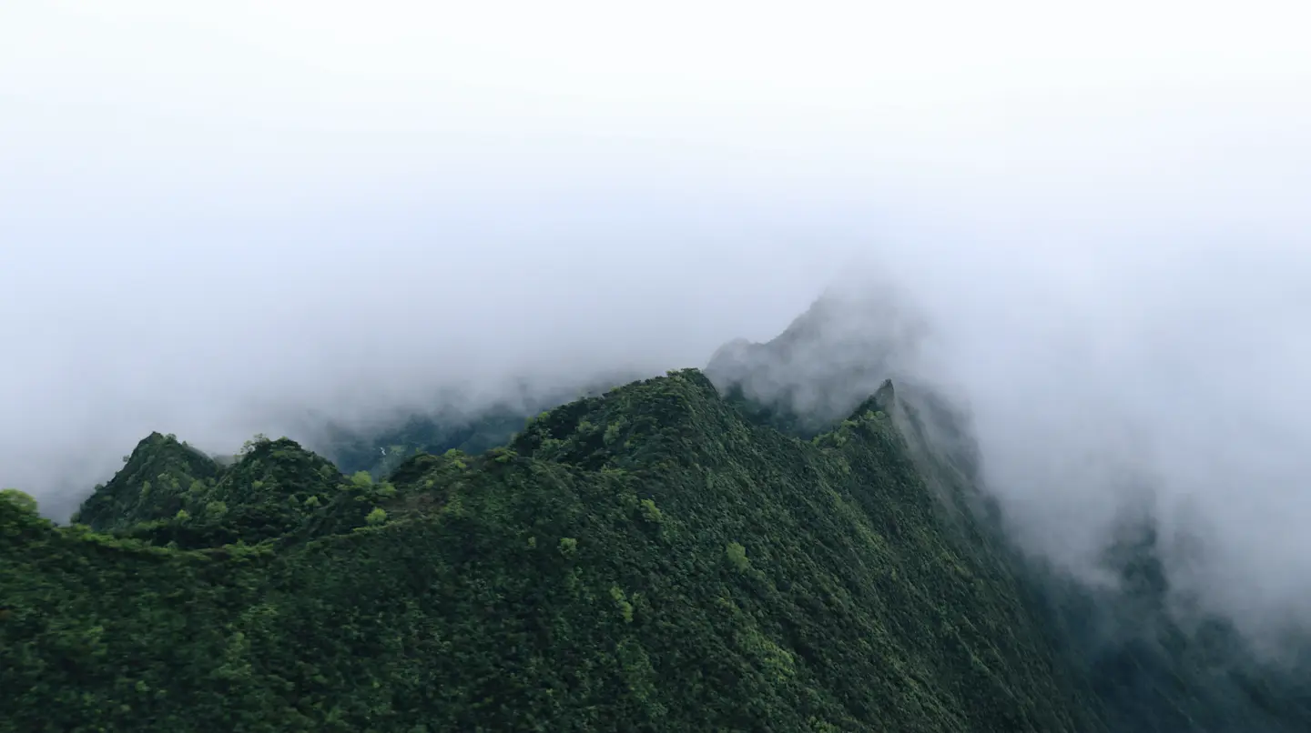 Maui Nui Wild Harvested Venison Maui Nui Wild Harvested Venison