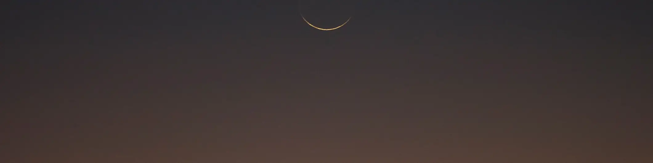 Maui Nui Wild Harvested Venison the time it takes