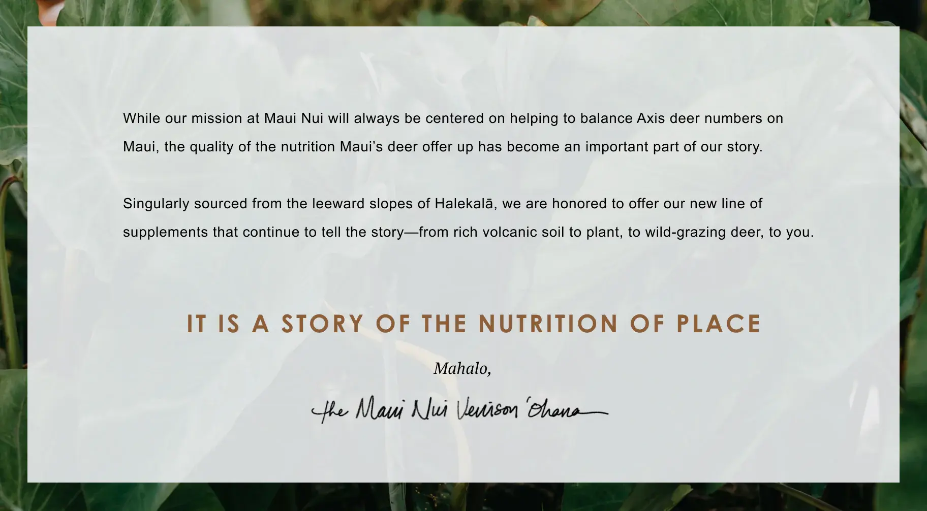 Maui Nui Wild Harvested Venison Maui Nui Wild Harvested Venison