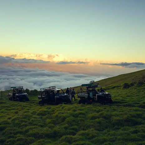 Maui Nui Wild Harvested Venison Maui Nui Wild Harvested Venison