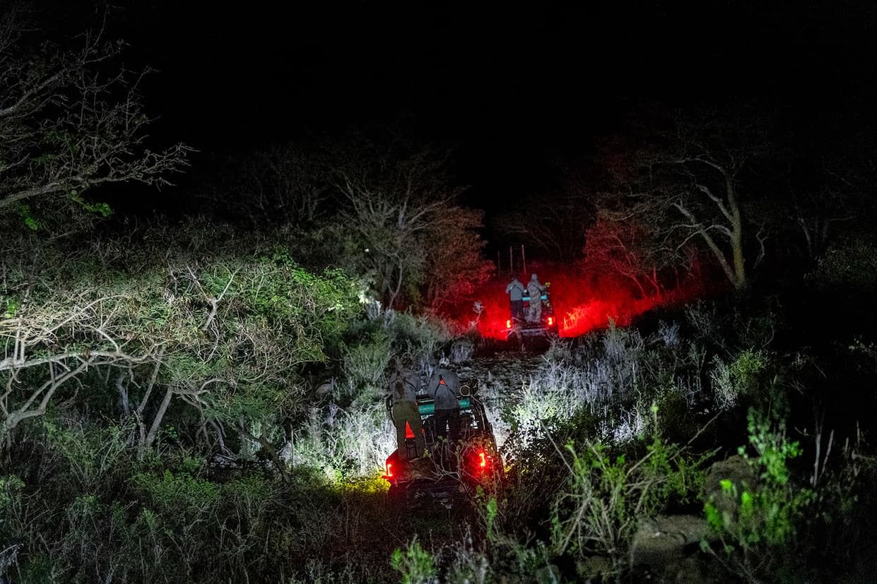 Maui Nui Wild Harvested Venison