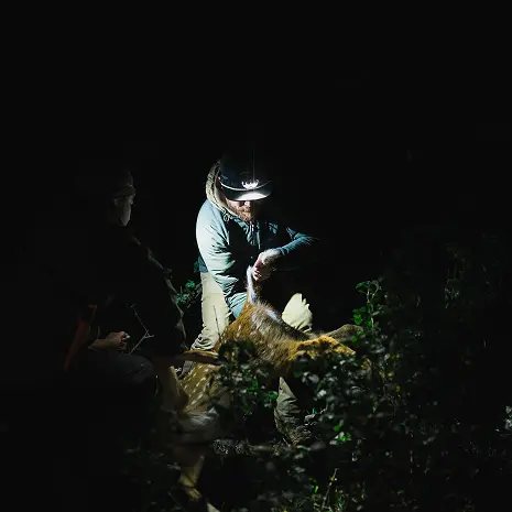 Maui Nui Wild Harvested Venison Maui Nui Wild Harvested Venison