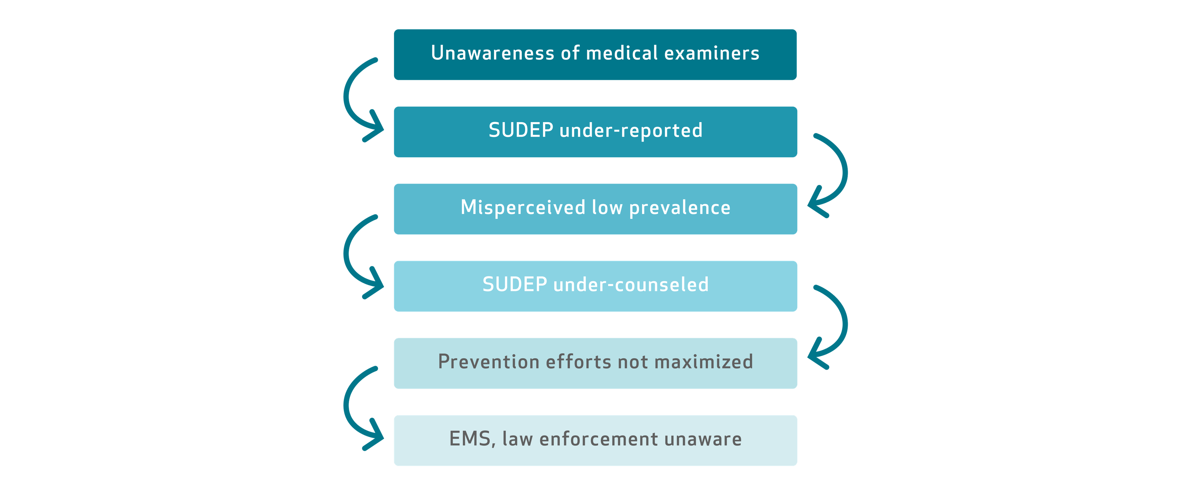 The cost of not knowing: Why SUDEP awareness matters for families living with epilepsy