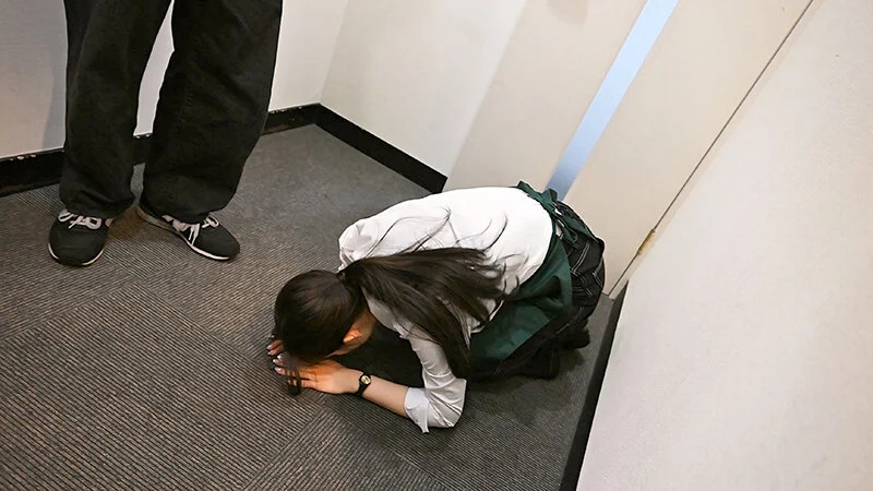 接客態度の悪さを売りにして流行っているレストランの店員が度を過ぎていたのでバイト後に待ち伏せ注意（SEX）。3日で従順な接客（肉便器）になりました 宮城りえ