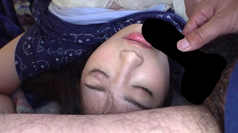 調教ペットちゃん わか 泥●していた巨乳女を拾って監禁～調教～完堕ちさせるまでの一部始終 美園和花